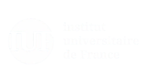 Institut Universitaire de France